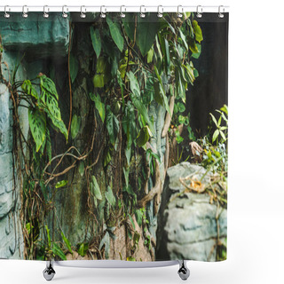Personality  Way Into Cave In Jungle Covered With Green Leaves Shower Curtains