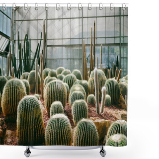 Personality  Cactus Planted In Botanical Garden Dark Tones And Vintage Shower Curtains