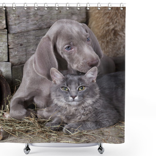 Personality  Cat And Dog Shower Curtains