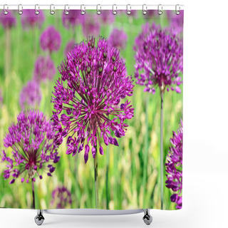 Personality  Purple Flowers Shower Curtains