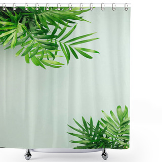 Personality  Green Leaves On Pale Green Background With Copy Space Shower Curtains
