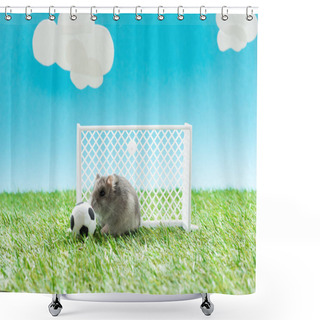 Personality  Funny Hamster Near Toy Soccer Ball And Gates On Green Grass On Blue Background With Clouds, Sports Betting Concept Shower Curtains