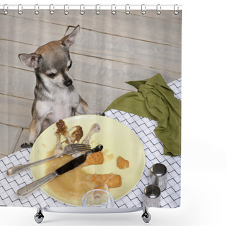 Personality  Chihuahua Looking At Leftover Food On Plate At Dinner Table Shower Curtains