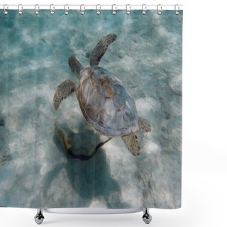 Personality  An Illustration Of A Sea Turtle Swimming Over A Sandy Area Of The Ocean. Shower Curtains