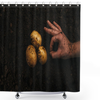 Personality  Cropped View Of Farmer Showing Okay Sign Near Ripe Natural Potatoes In Ground Shower Curtains