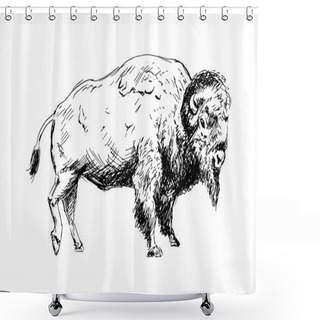 Personality  Hand Drawing A Bison Shower Curtains