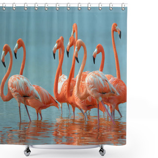 Personality  Flamingos Shower Curtains