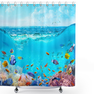 Personality  Colorful Tropical Fish In Coastal Waters. Animals Of The Underwater Sea World. Life In A Coral Reef. Ecosystem. Shower Curtains