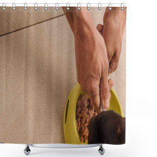 Personality  Top View Of Woman Holding Tasty Pet Food Near French Bulldog And Bowl Shower Curtains