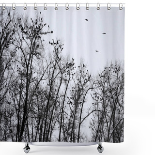 Personality  Silhouettes Of Crows Sitting On Trees Shower Curtains