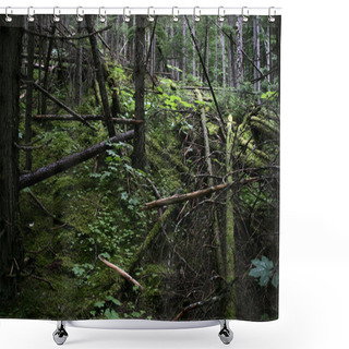 Personality  Dark Forest Shower Curtains