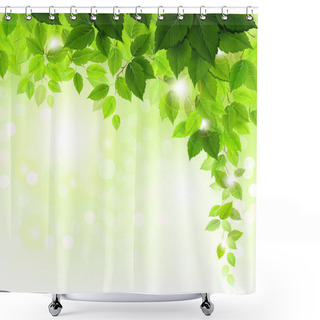 Personality  Summer Branch With Fresh Green Leaves Shower Curtains