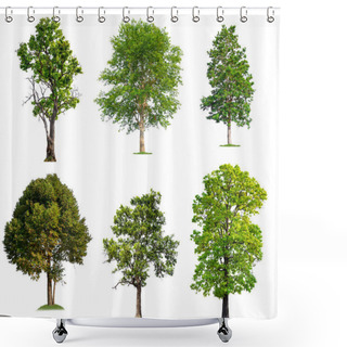 Personality  Solated Big Tree On White Background Shower Curtains