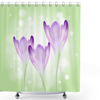 Personality  Vector Cute Spring Violet Flowers Shower Curtains