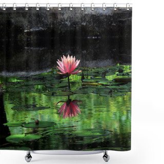 Personality  Waterlily 5 Shower Curtains