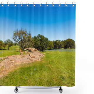 Personality  Texas Hill Country Shower Curtains