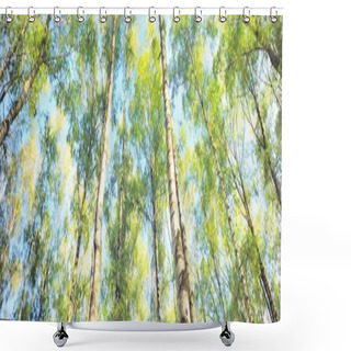Personality  Low Angle View Of The Green Birch Forest On A Clear Day. Public Park. Tree Trunks Close-up. Blue Sky, Sunlight, Daylight, Sunbeams. Ecology, Landscape Design, Landscaping, Textures, Backgrounds Shower Curtains