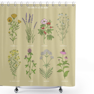 Personality  Medicinal Herbs. Shower Curtains