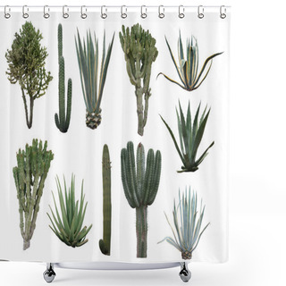 Personality  Cactus Collection Isolated On White Shower Curtains