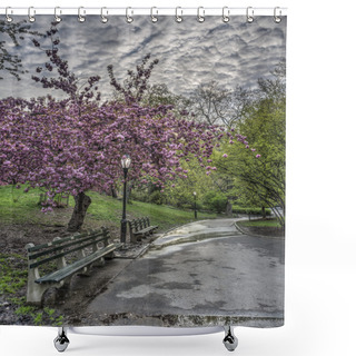 Personality  Spring In Central Park, New York City Shower Curtains