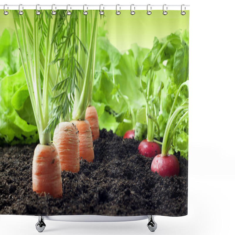 Personality  Vegetables Growing In Garden Shower Curtains