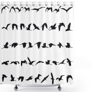 Personality  Herons Shower Curtains