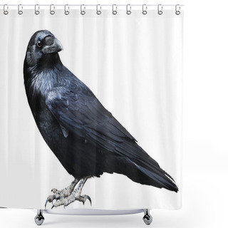 Personality  Black Raven. Shower Curtains