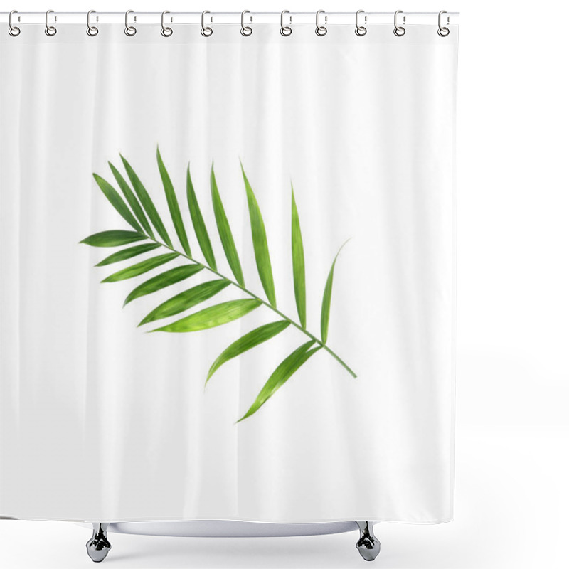 Personality  Tropical Nature Green Palm Leaf Isolated On White Pattern Background Shower Curtains