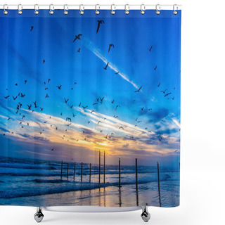 Personality  Flock Of Seagulls In Daytona Beach, Florida, USA Shower Curtains