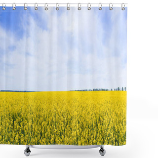 Personality  Panoramic Concept Of Yellow And Blooming Wildflowers Against Sky With Clouds  Shower Curtains