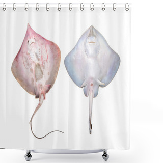 Personality  Fish Fresh And Tasty Seafood, Shower Curtains