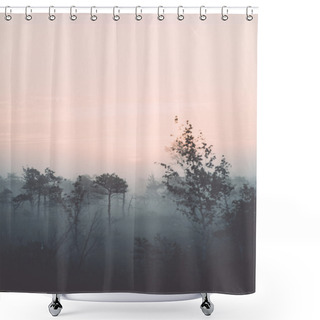 Personality  Beautiful Tranquil Landscape Of Misty Swamp Lake. Vintage. Shower Curtains