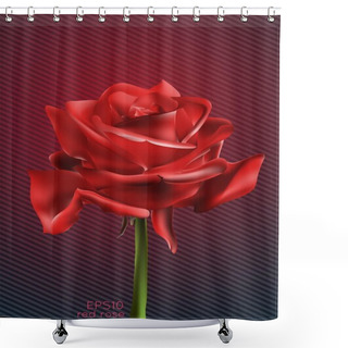 Personality  Beautiful Red Rose, Vector Illustration Shower Curtains