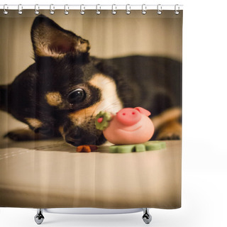 Personality  Good Luck Chihuahua Shower Curtains