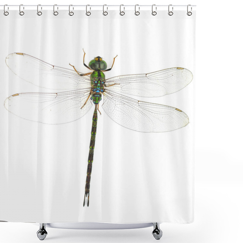 Personality  Green Dragonfly Shower Curtains