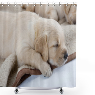 Personality  Golden Retriever Shower Curtains