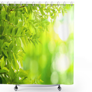 Personality  Green Leaves Pattern For Summer Or Spring Season Concept,leaf With Bokeh Textured Background Shower Curtains