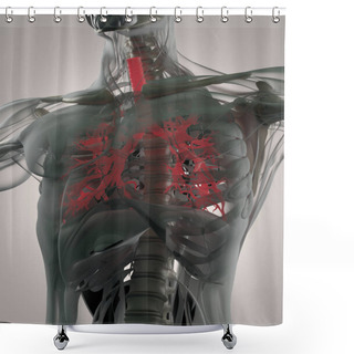 Personality  Human Bronchus Anatomy Model Shower Curtains