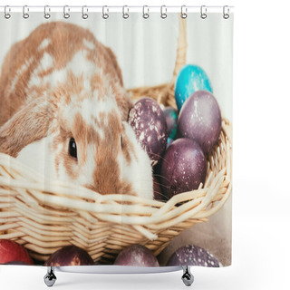 Personality  Funny Domestic Rabbit Lying In Straw Basket With Painted Easter Eggs Shower Curtains