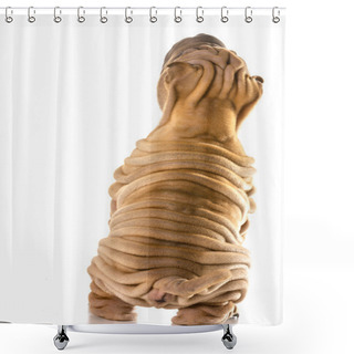 Personality  Chinese Shar Pei  Shower Curtains