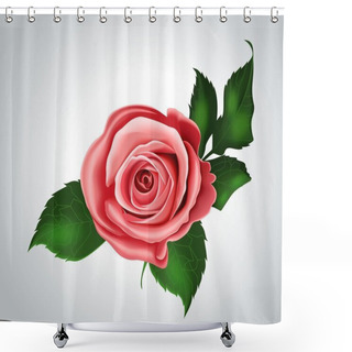 Personality  Pink Rose On A Gray Background Shower Curtains