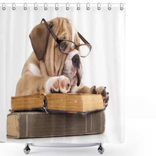 Personality  Purebred English Bulldog In Glasses And Book Shower Curtains