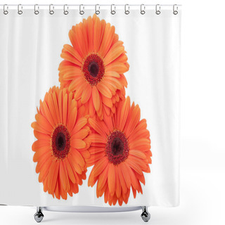 Personality  Gerbera Bouquet Isolated Shower Curtains