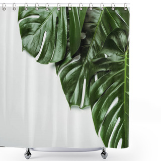 Personality  Top View Of Green Palm Leaves On White Background Shower Curtains