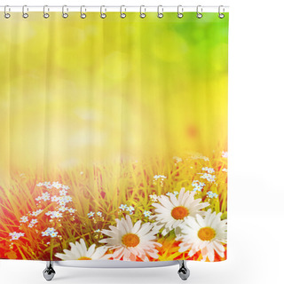 Personality  Wildflowers Daisies. Summer Landscape.  Shower Curtains