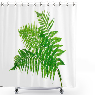 Personality  Three Green Leaves Of Fern Isolated On White Shower Curtains