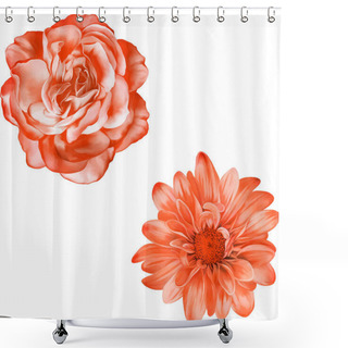 Personality  Beautiful Spring Flowers Shower Curtains