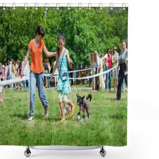Personality  Dog Show Shower Curtains