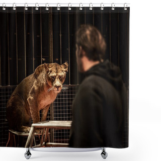 Personality  Tamer And Lioness On Circus Arena Shower Curtains