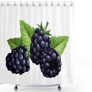 Personality  Blackberries Isolated On A White Background. Vector Illustration. Shower Curtains